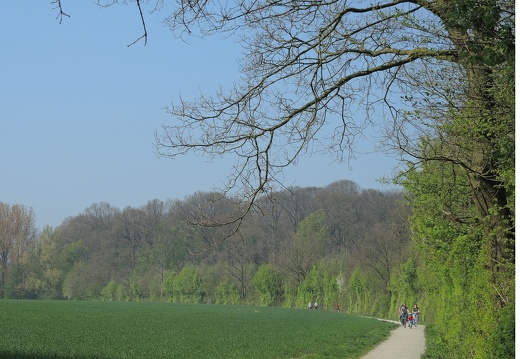 Radtour im Frühling am Meckelbach