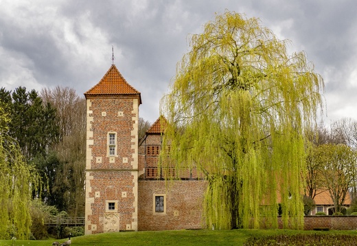 Trauerweide  vor Burg Hülshoff