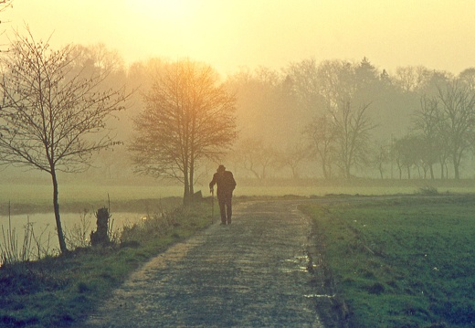 Fotografen Galerien