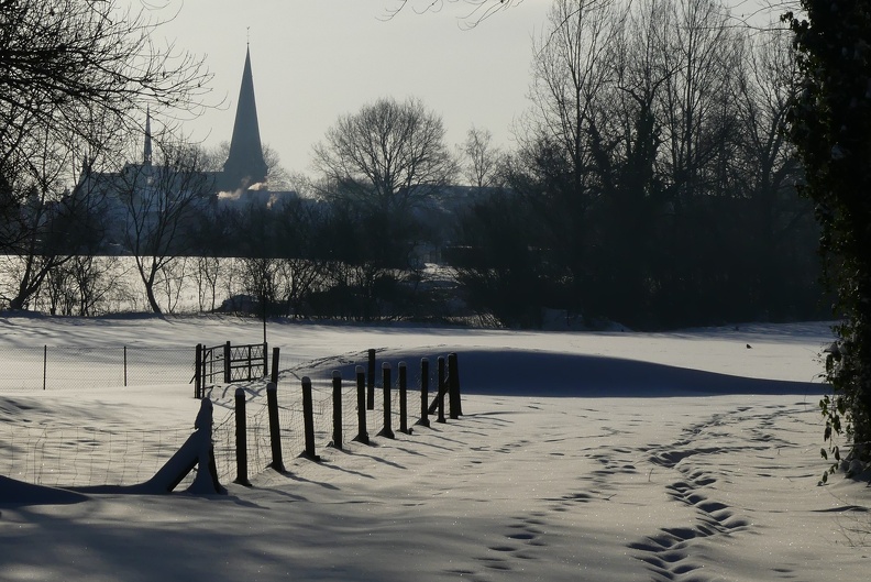 S-WD_Im Rüchenfeld Blick auf Kirche.JPG