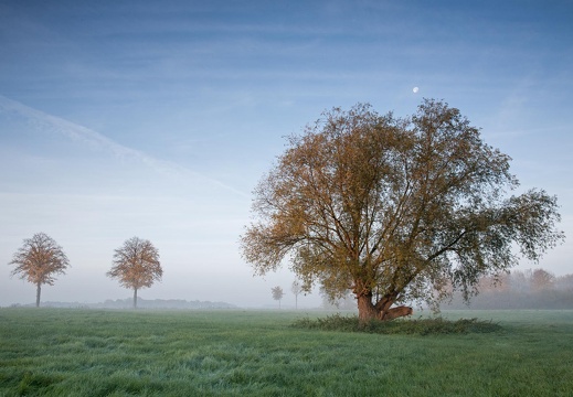 HH  Aatal im Oktober