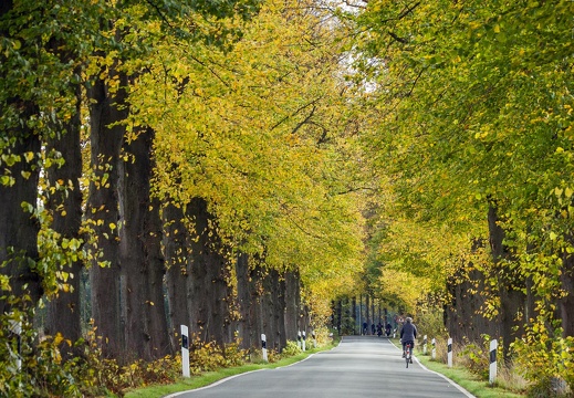 HH Bösenseller Straße im Oktober