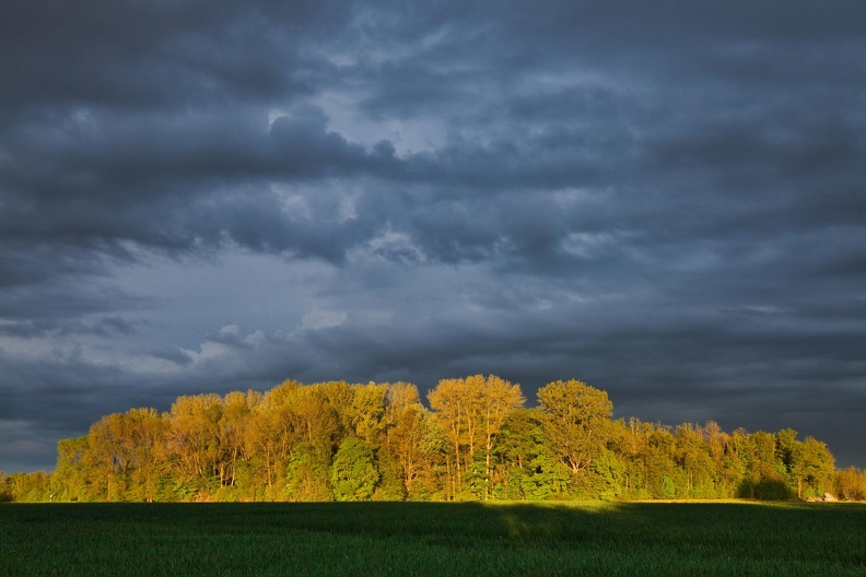 HH Gewitterwolken über Schonebeck.JPG