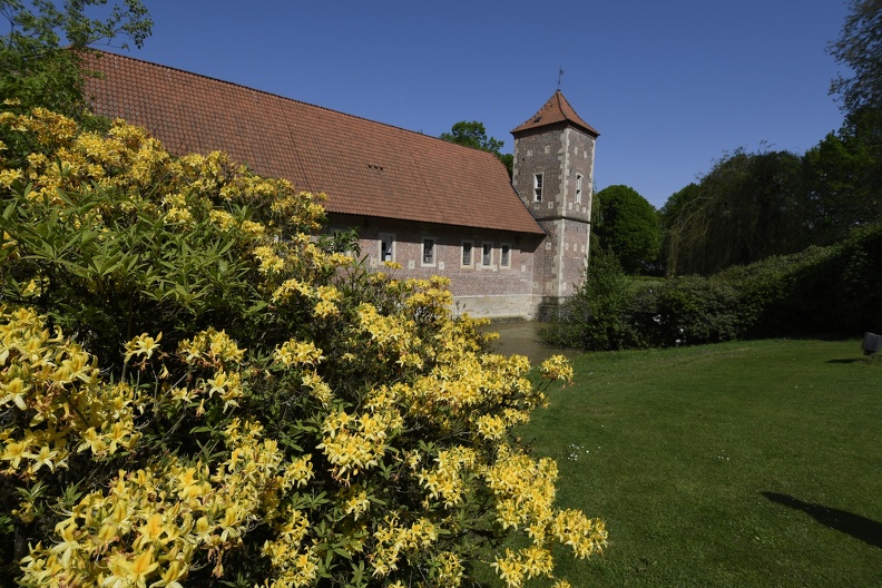 MH__DSC1037.JPG