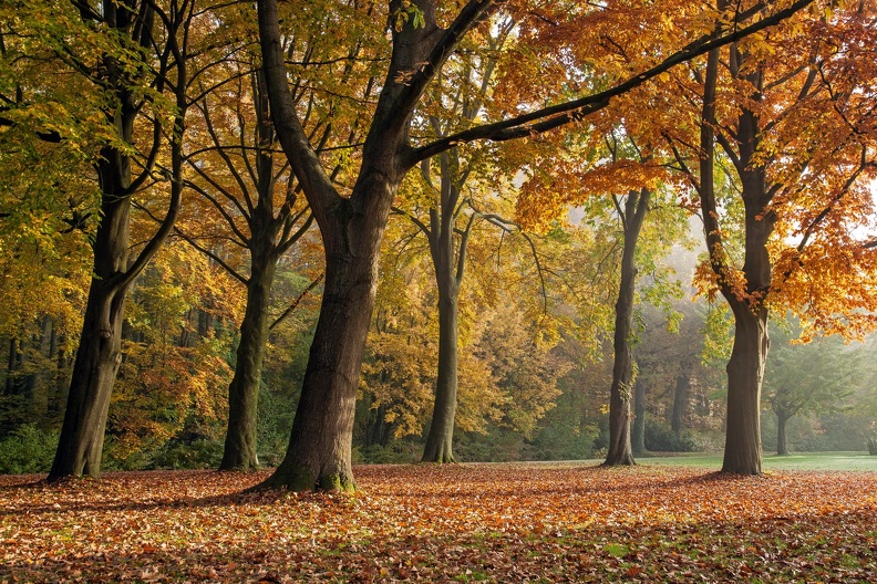 Im Herbst .JPG